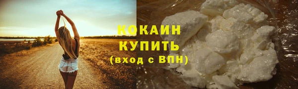 прущая мука Горняк