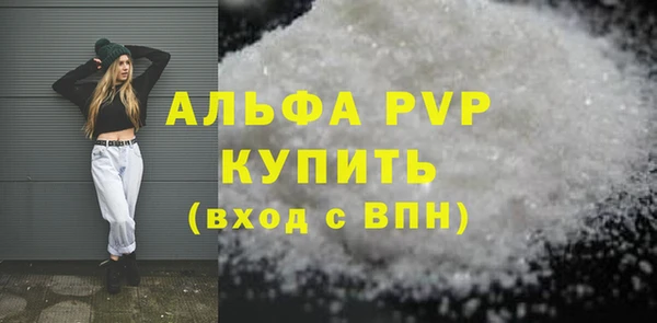 прущие грибы Горнозаводск