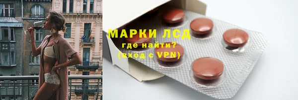 прущие грибы Горнозаводск