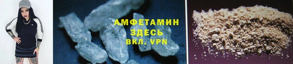 прущие грибы Горнозаводск