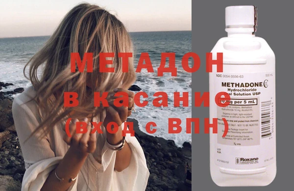 прущие грибы Горнозаводск