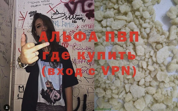 прущие грибы Горнозаводск